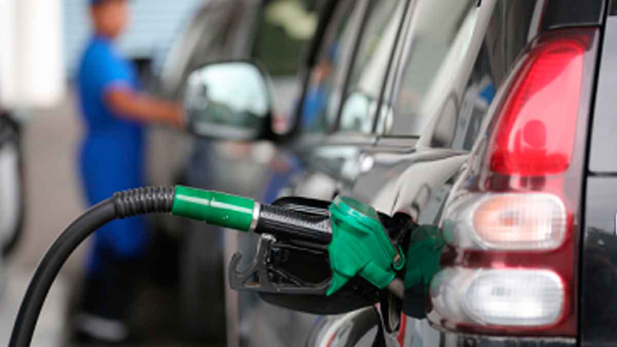 PlantillaNoticiasSIN