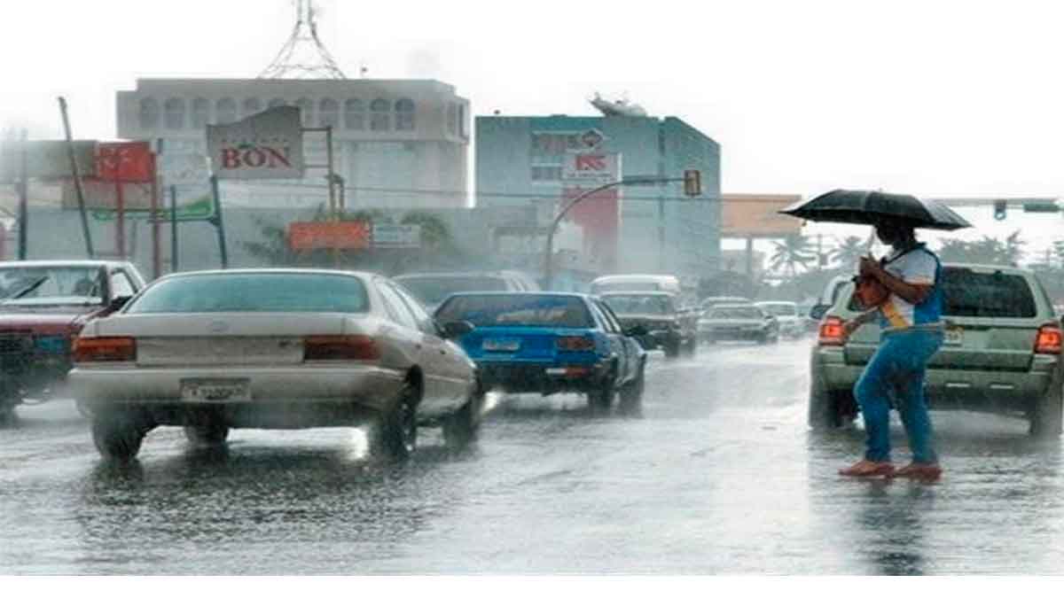 epidemiólogos epidemiólogos