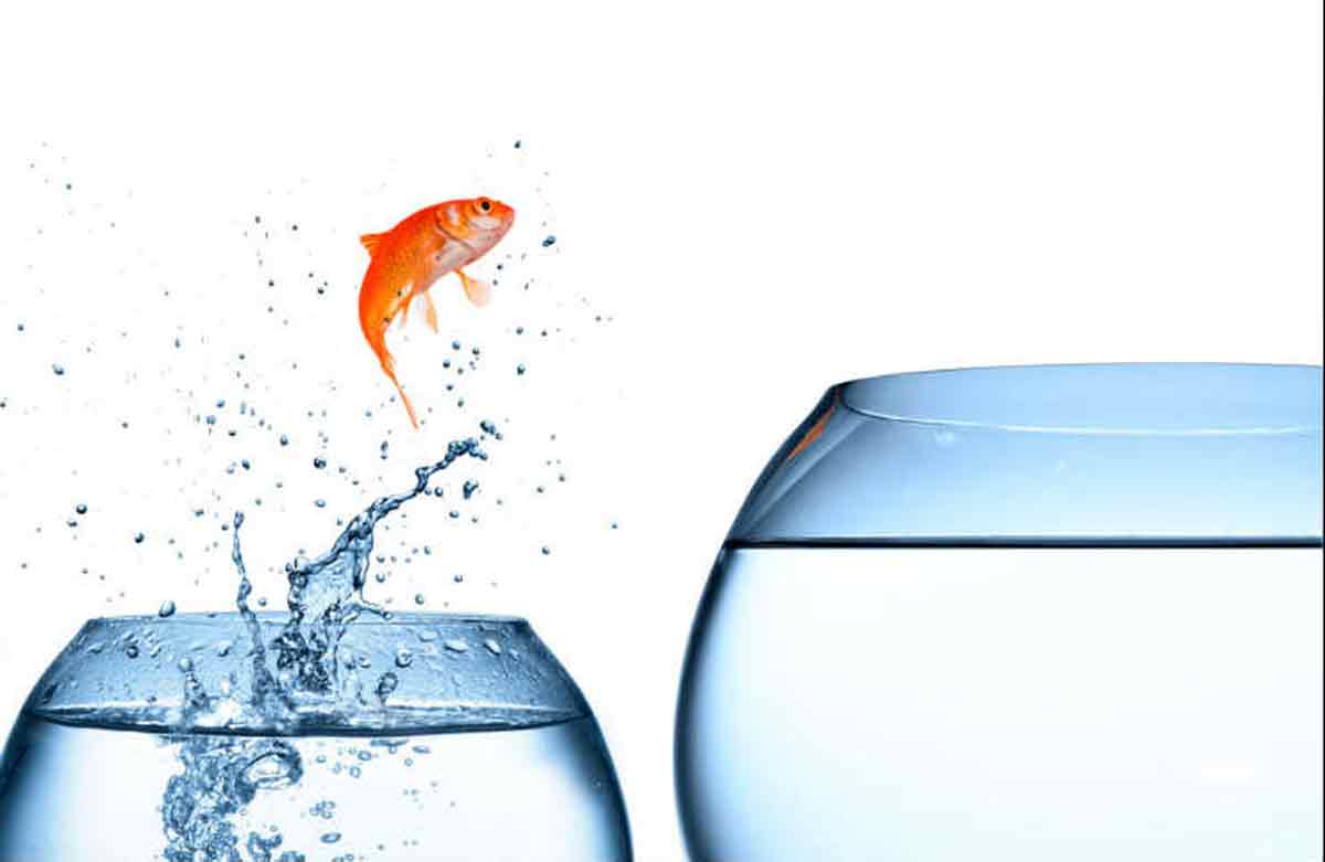 zona-de-confort Aléjate de la zona de confort