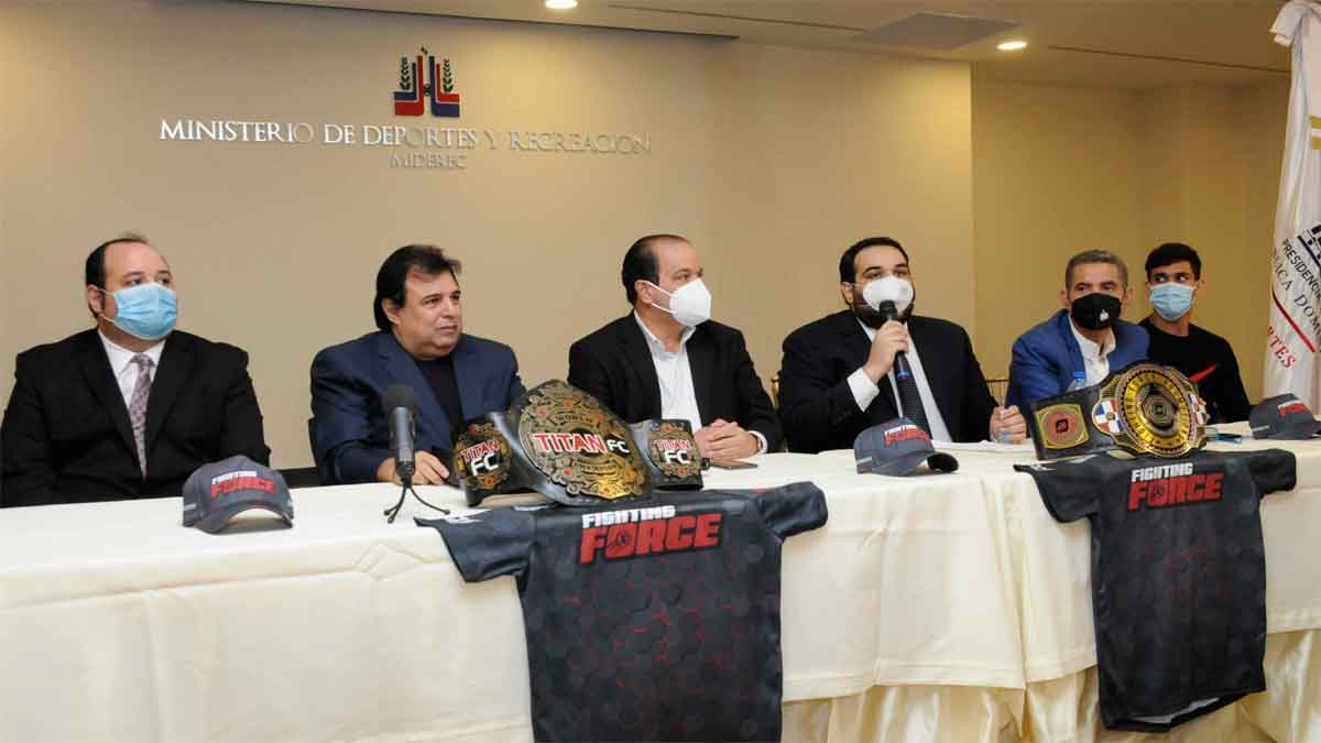 Artes Marciales Mixtas