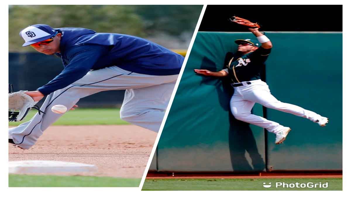 machado