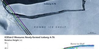 Iceberg