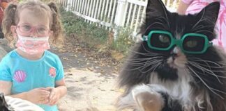 La gatita con lentes