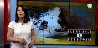 Invasión del Sargazo | El Informe