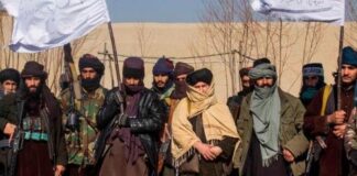 Talibanes