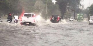 Tormenta Grace