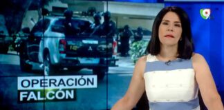 Caen más implicados Operación Falcón / Tres implicados en Pulpo enviados a casa | Emisión Estelar SIN