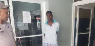 Hombre acusado de matar perros