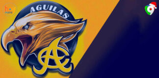 Rechazo a la contratación en águilas Cibaeñas de pelotero acusado de violencia de Genero | Hoy Mismo