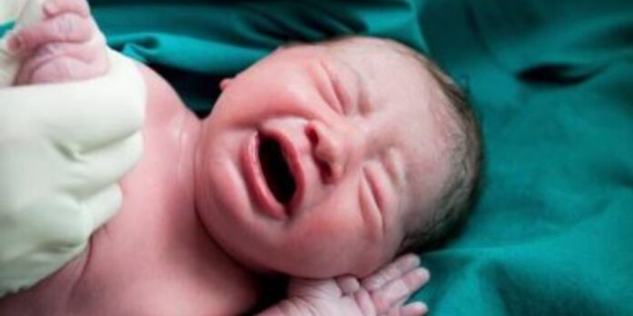 Recién nacido en avión Hallan recién nacido en avión