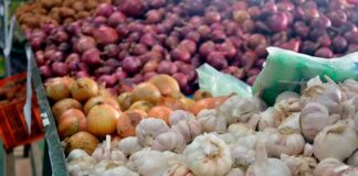 Vendedores se expresan respecto a los precios de los productos de la canasta familiar