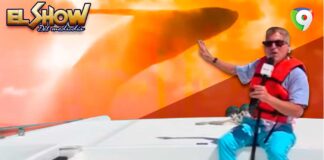 “Primicia” Transmisión histórica desde el Santuario Ballenas Jorobadas en Samaná | El Show del Mediodía