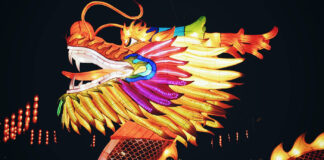 Descubre que animal te representa según el calendario chino