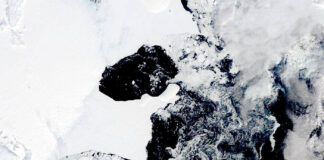 Conger, una barrera de hielo de una superficie equivalente a la ciudad de Los Ángeles, desaparece en la Antártida