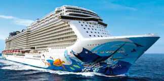 "El viento produjo un movimiento que hizo que crucero encallara", según APORDOM