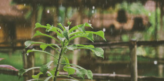Onamet pronostica chubascos aislados por el viento del este/sureste; temperaturas calurosas