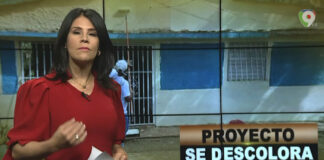 proyecto se descolora