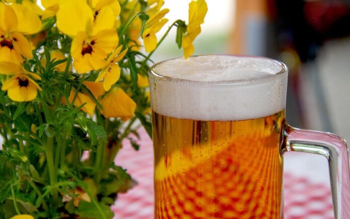Hoy-5-de-Agosto-se-celebra-el-día-internacional-de-la-cerveza Dia internacional de la cerveza