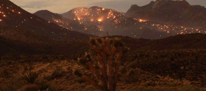 2023-rompe-récords-como-el-año-más-caluroso-advierte-la-ONU 2023-rompe-récords-como-el-año-más-caluroso-advierte-la-ONU