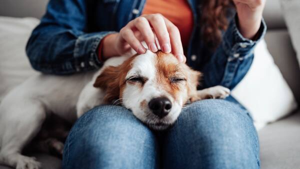 2YPCPKDKSFES7DU3CDA3EOH6AM