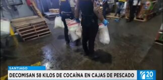 58 kg de cocaína son decomisadas tras enviarlas en cajas de pescado