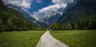 7 lecciones de vida de viktor frankl, sobreviviente del holocausto