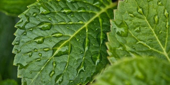 alertas meteorológicas vigentes por lluvias esperadas en las próximas 24 a 48 horas alertas meteorológicas vigentes por lluvias esperadas en las próximas 24 a 48 horas