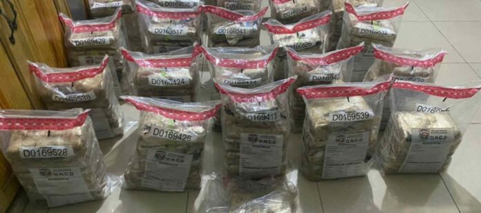 Autoridades incautan 114 paquetes de presunta cocaína escondidas en contenedor Autoridades incautan 114 paquetes de presunta cocaína escondidas en contenedor