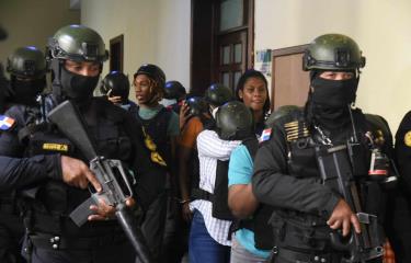 cattleya-7273a10d-focus-0-0-375-240