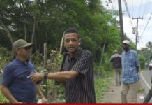 conflicto por tala de árboles en zona protegida