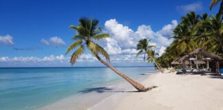 conoce samaná un paraíso natural, cultural y de aventura en república dominicana