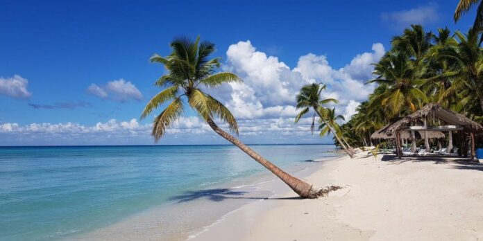 conoce samaná un paraíso natural, cultural y de aventura en república dominicana