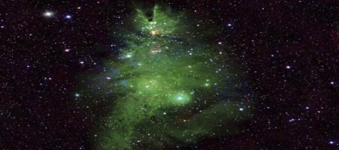 Descubren-un-cúmulo-del-arbol-de-navidad-a-2,500-años-luz-de-la-tierra Descubren-un-cúmulo-del-arbol-de-navidad-a-2,500-años-luz-de-la-tierra
