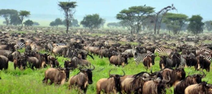 Destinos-turísticos-más-visitados-en-África