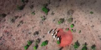 tierras raras