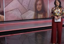 el misterio de ellen frances hulett