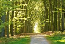 el valor del tiempo vs la calidad de nuestra vida