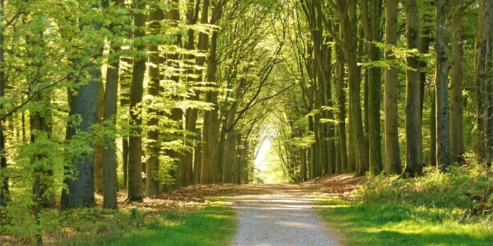 el valor del tiempo vs la calidad de nuestra vida el valor del tiempo vs la calidad de nuestra vida