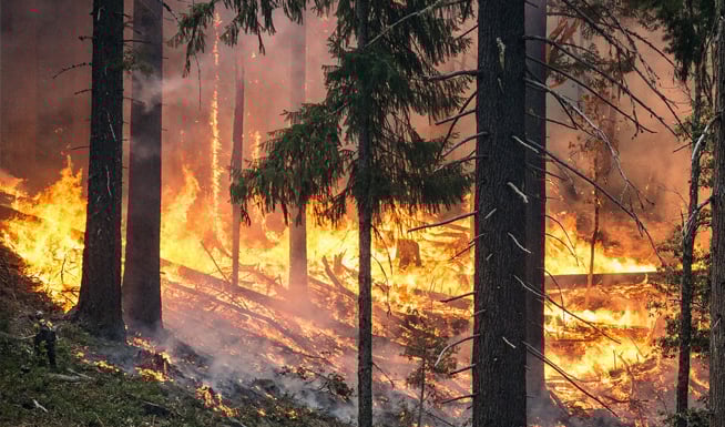 exterior_ articulo incendios