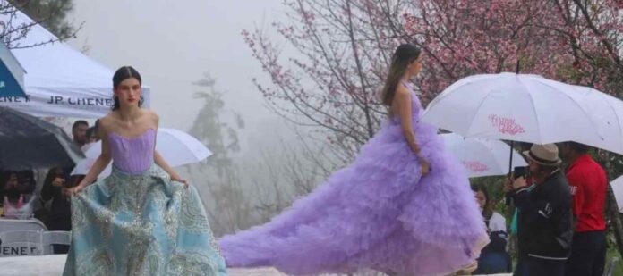 Festival-del-Cerezo-2024-inició-radiante-y-colorido Festival-del-Cerezo-2024-inició-radiante-y-colorido