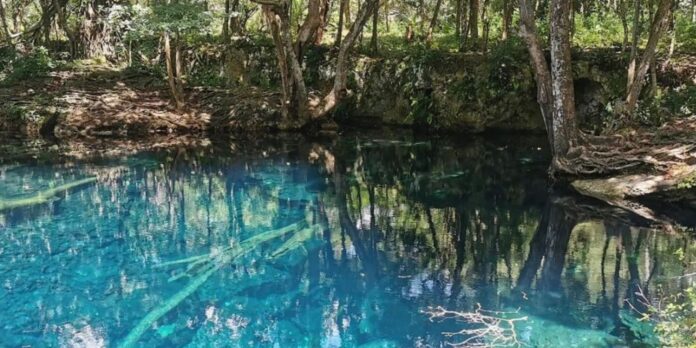 hoyo claro un tesoro escondido en punta cana hoyo claro un tesoro escondido en punta cana