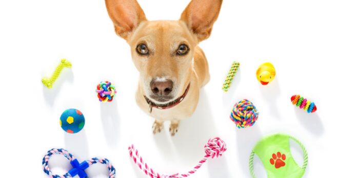 juguetes para mascotas claves para elegir el adecuado y fomentar su bienestar Juguetes para mascotas claves para elegir el adecuado y fomentar su bienestar