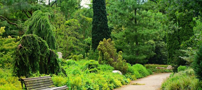 La-salud-física- y-mental La salud física y mental es uno de los bienes más preciados que podemos aspirar en la vida.
