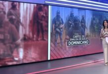 los rugrats un brazo armado del cártel de sinaloa en rd