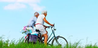 manual de la vida por paulo chenso