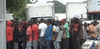 migración haitiana preocupa al sector agricola y construcción