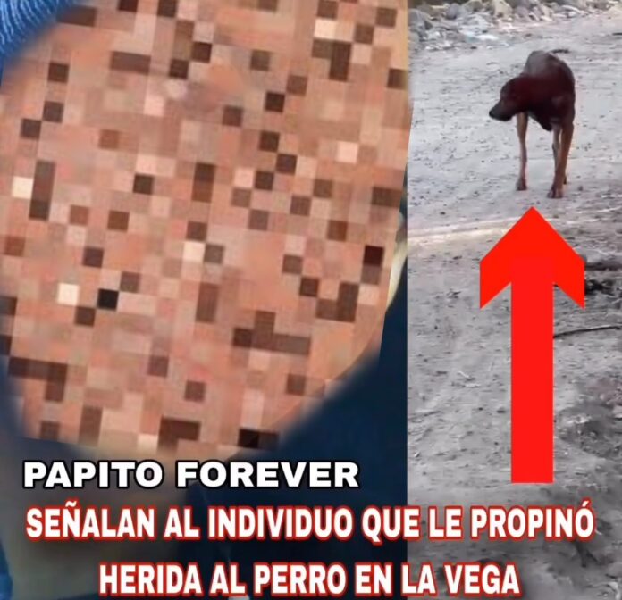 Picsart_24-03-08_10-33-44-005