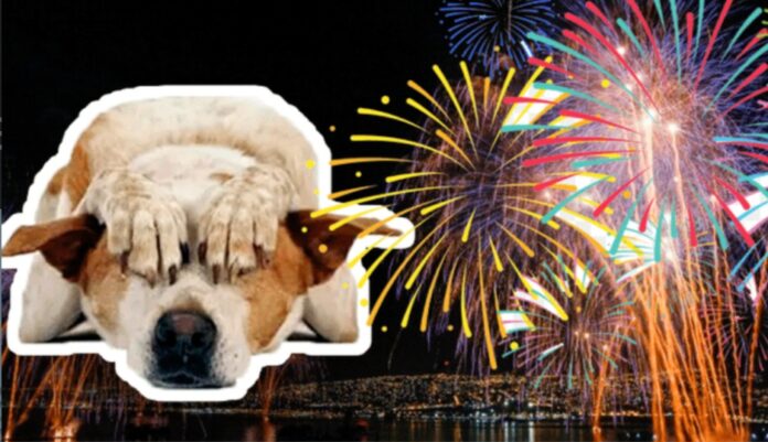 Screenshot_20231229_180518_Chrome