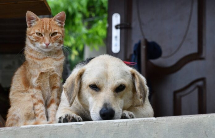 Screenshot_20240104_094956_Chrome