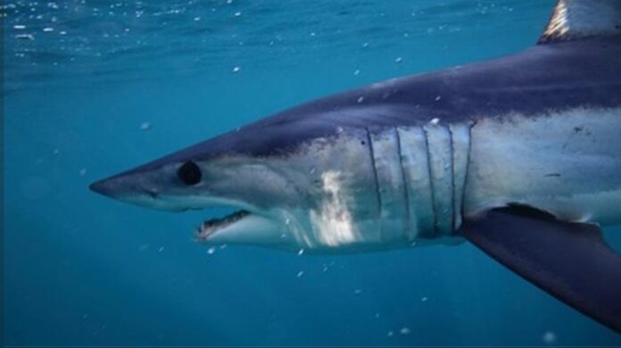 Screenshot_20240105_150422_Chrome